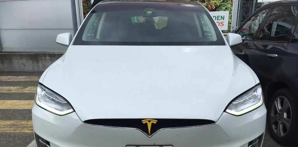 6990792930_emblema-perednyaya-tesla.webp